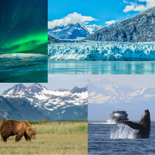 Best Time to Visit Alaska – And Best Time for an Alaska Cruise