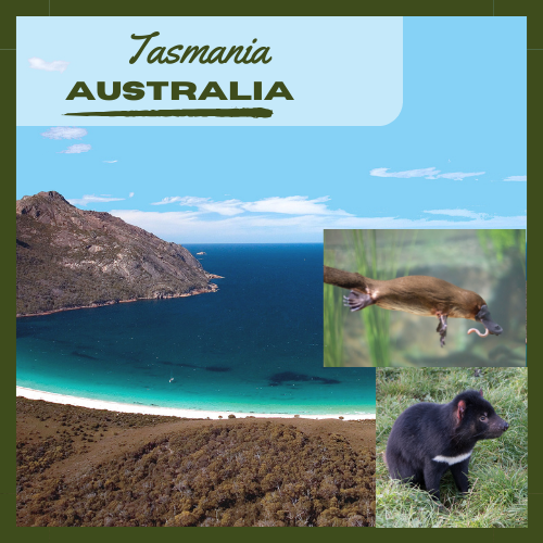 tasmania travel itinerary plan